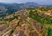 Yuanyang rice terraces #16