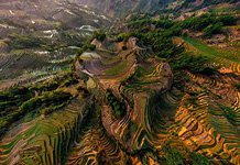 Yuanyang rice terraces #10