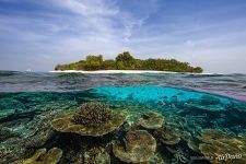 Pineapple island, Maldives Pineapple island, Maldives